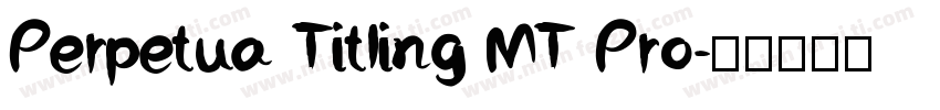 Perpetua Titling MT Pro字体转换